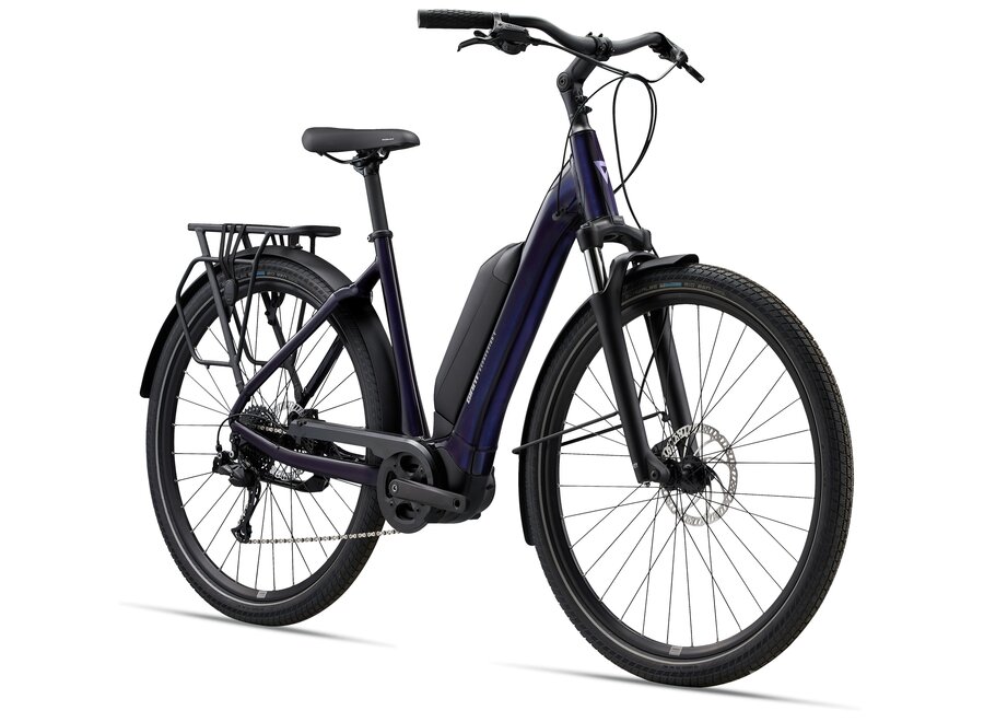 Giant Expression E+ -  Black Currant