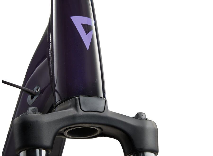 Giant Expression E+ - Black Currant