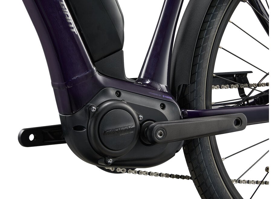 Giant Expression E+ - Black Currant