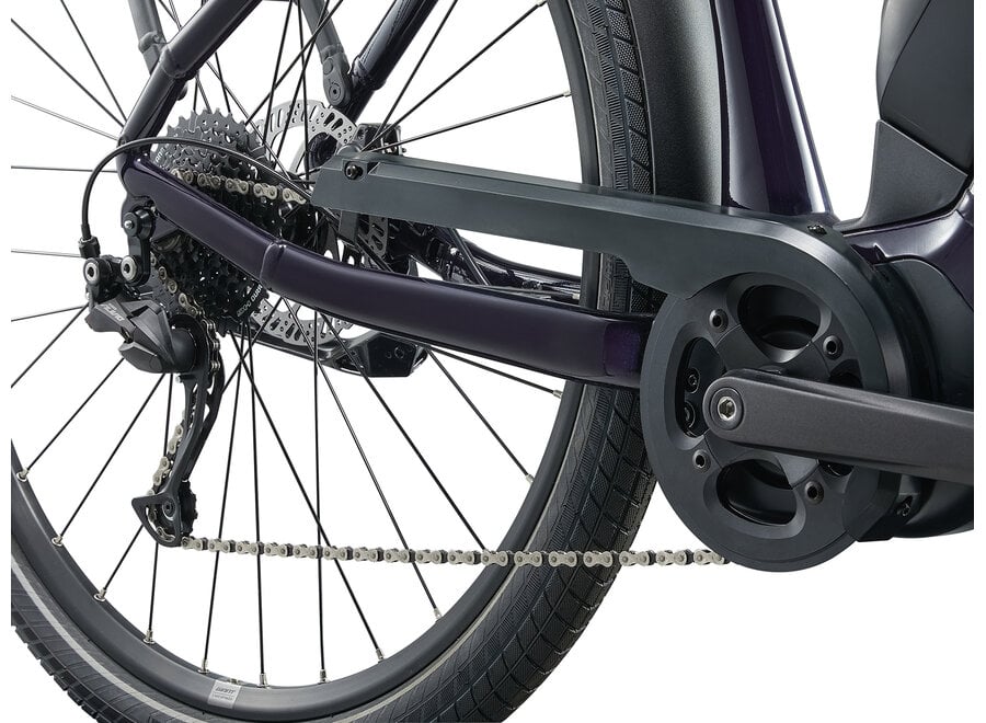 Giant Expression E+ - Black Currant