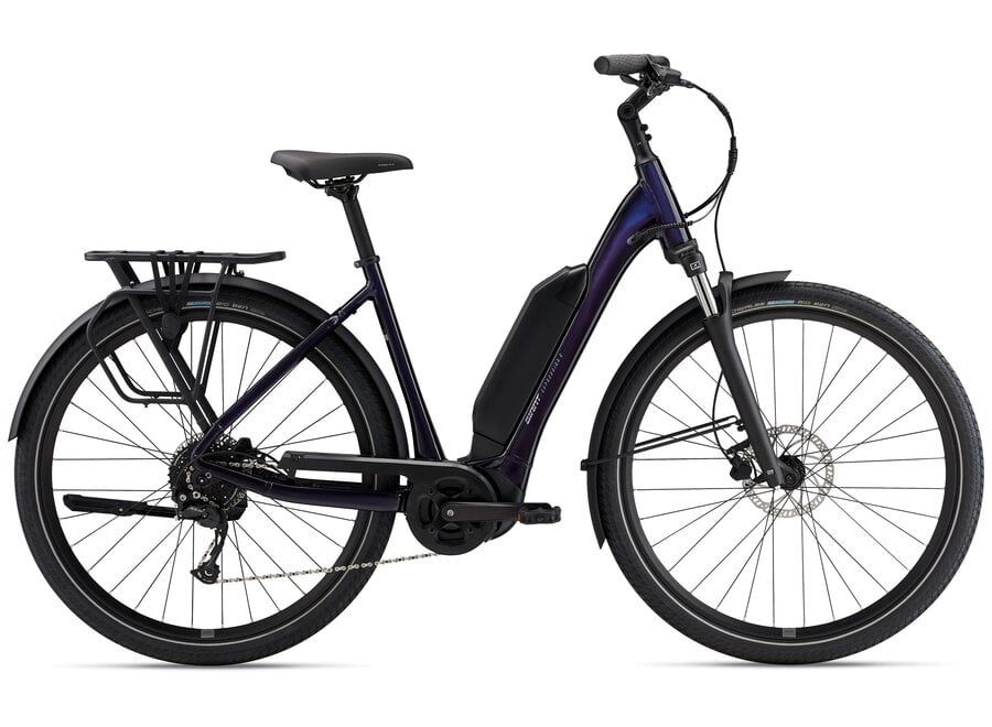 Giant Expression E+ - Black Currant