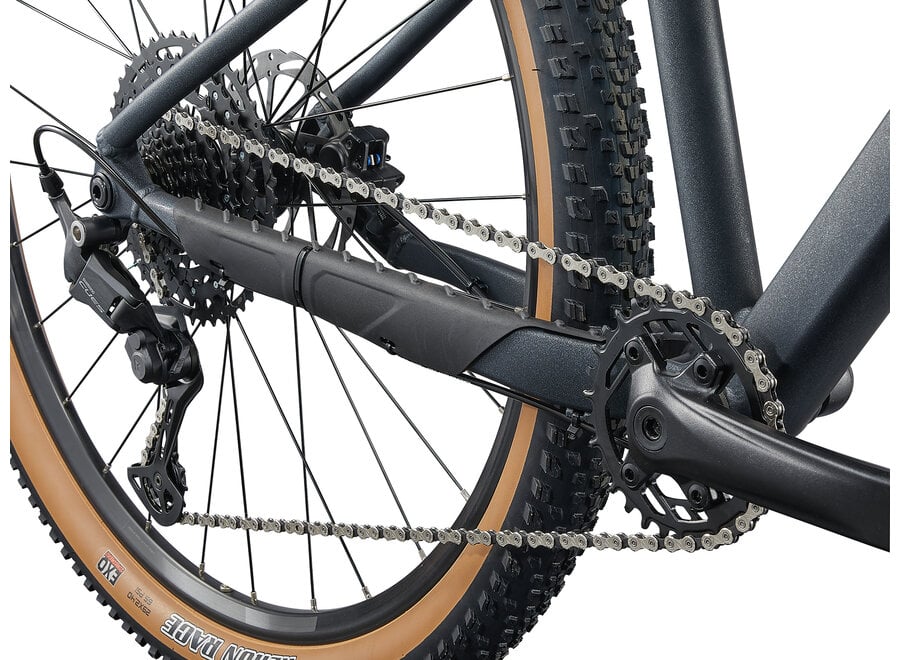 Liv Tempt 1 29 - Black Diamond