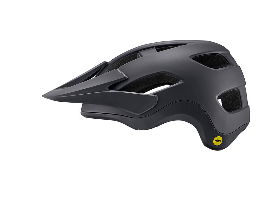 Liv Roost MIPS Helmet - Black Currant