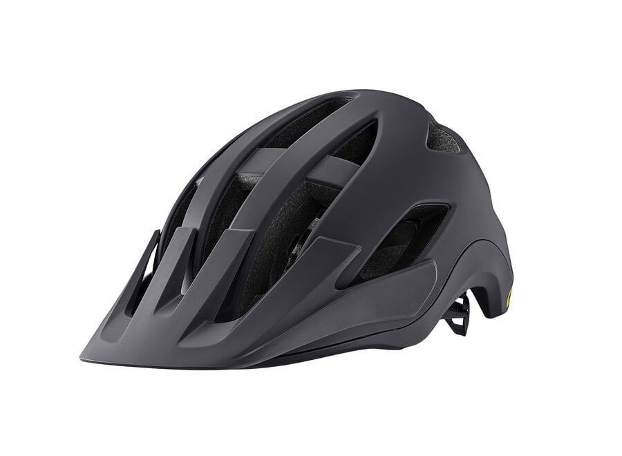 Liv Roost MIPS Helmet - Black Currant