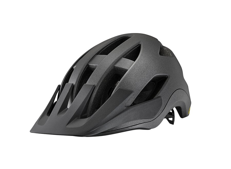 Giant Roost MIPS Helmet -  Matte Black Diamond