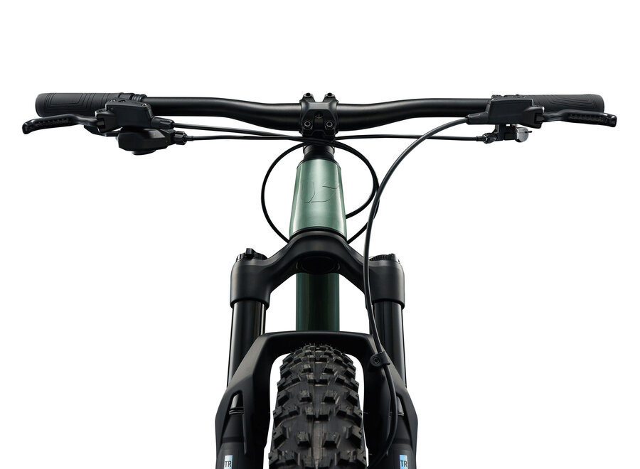 Liv STP 24 -  Alpine Green