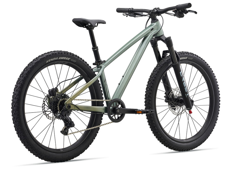 Liv STP 24 -  Alpine Green