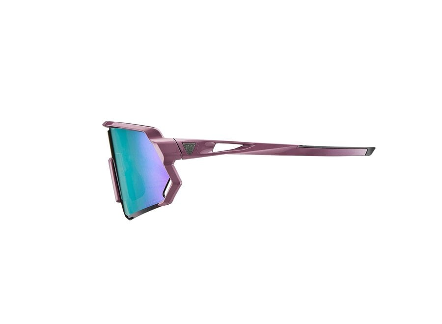 Liv Aurea Sunglasses  - Purple Frame