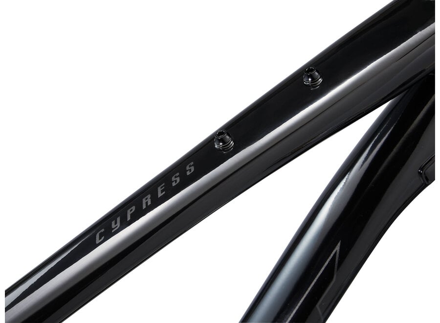 Giant Cypress 2 - Black