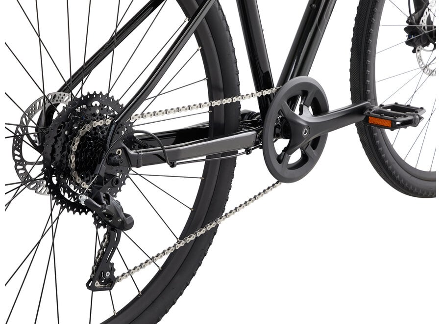 Giant Cypress 2 - Black