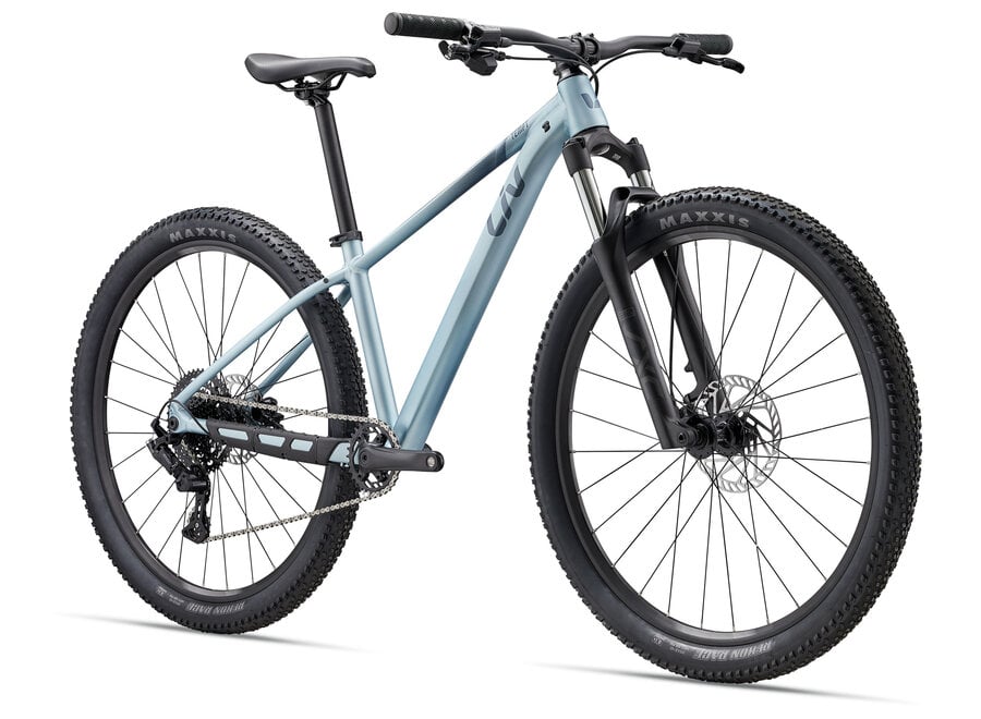Liv 27 Tempt 29 2 -  Cryo Silver