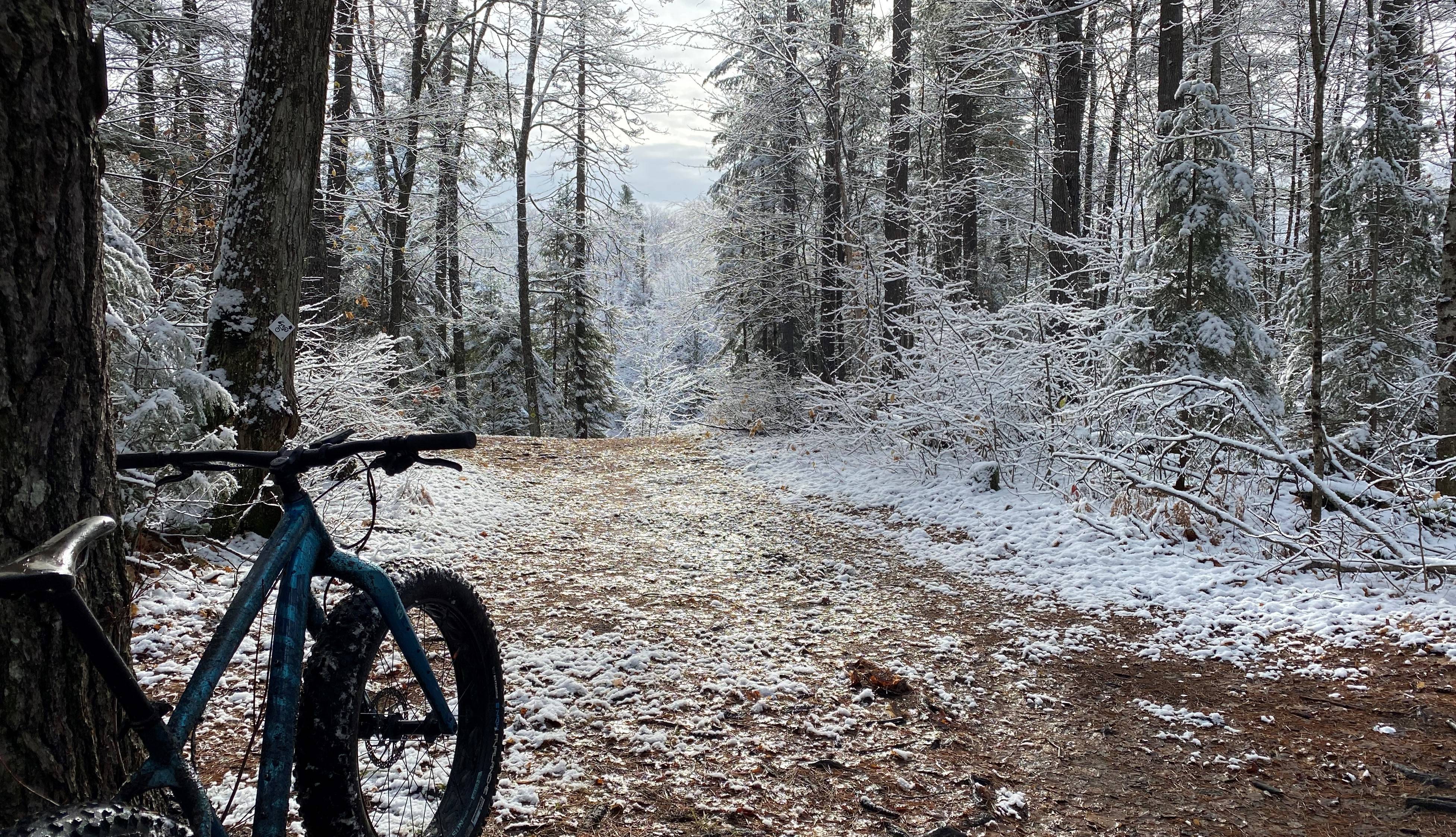 1/2 Price Fat Bike Service