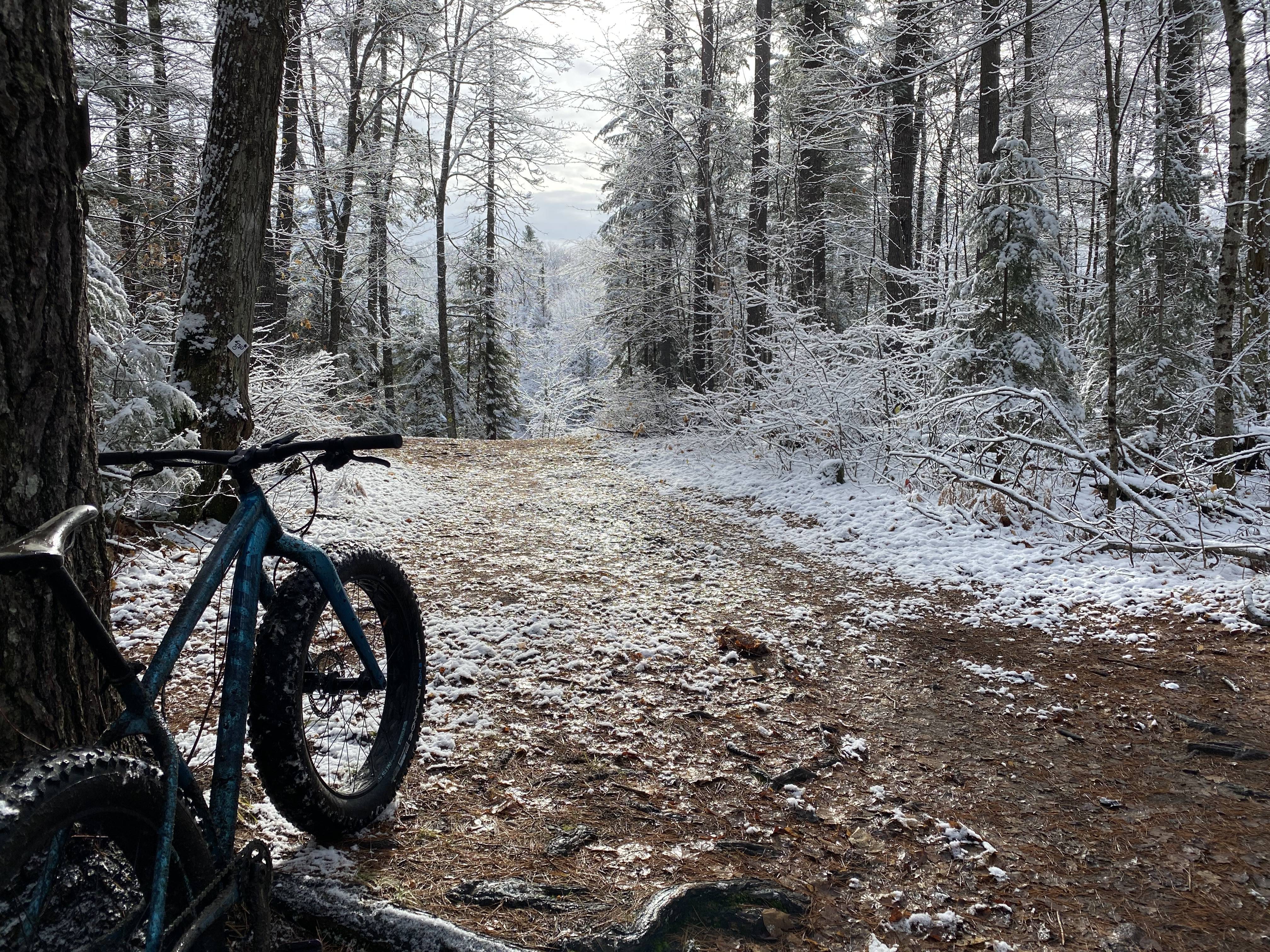 1/2 Price Fat Bike Service