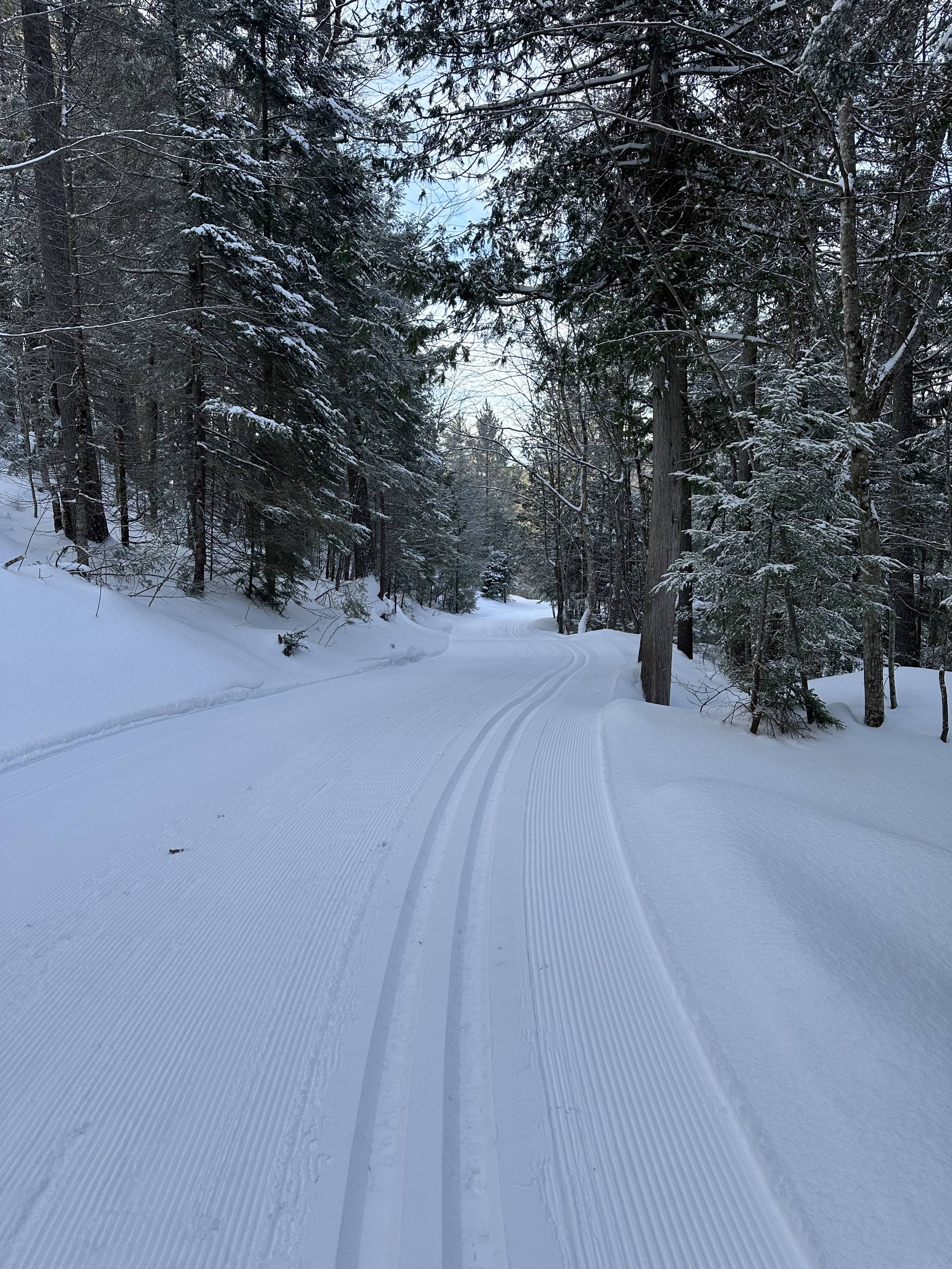 Algoma Bicycle Company is Sault Ste Marie's bicycle and cross country ski headquarters, priding ourselves of our premium service for both bikes and skis.