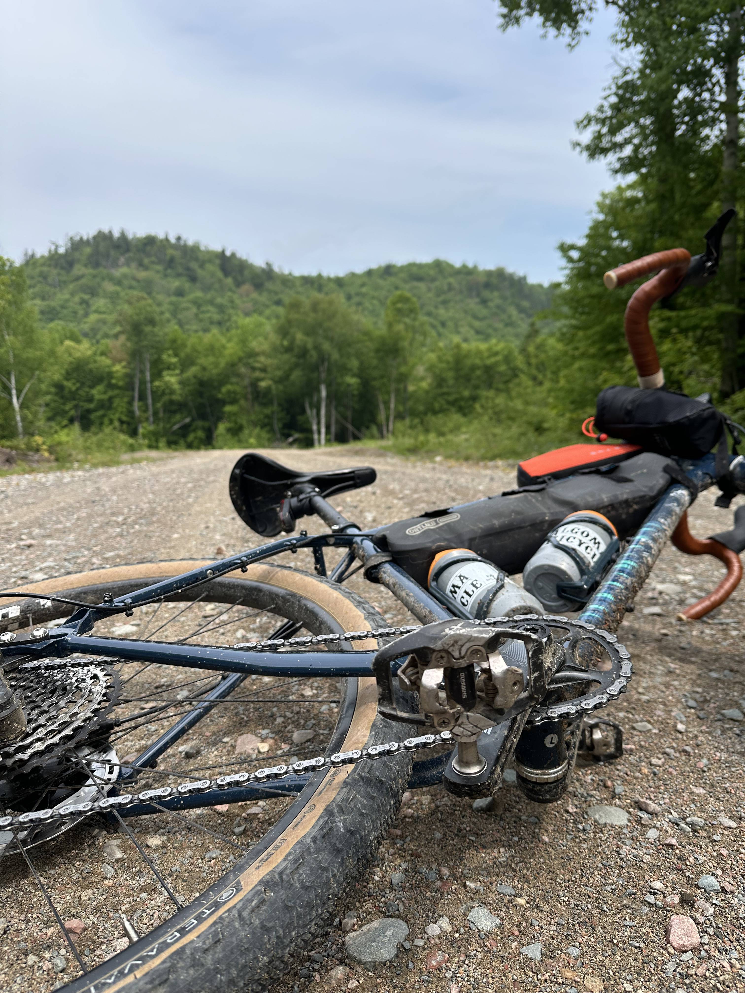 2026 Bikes Have Arrived!
