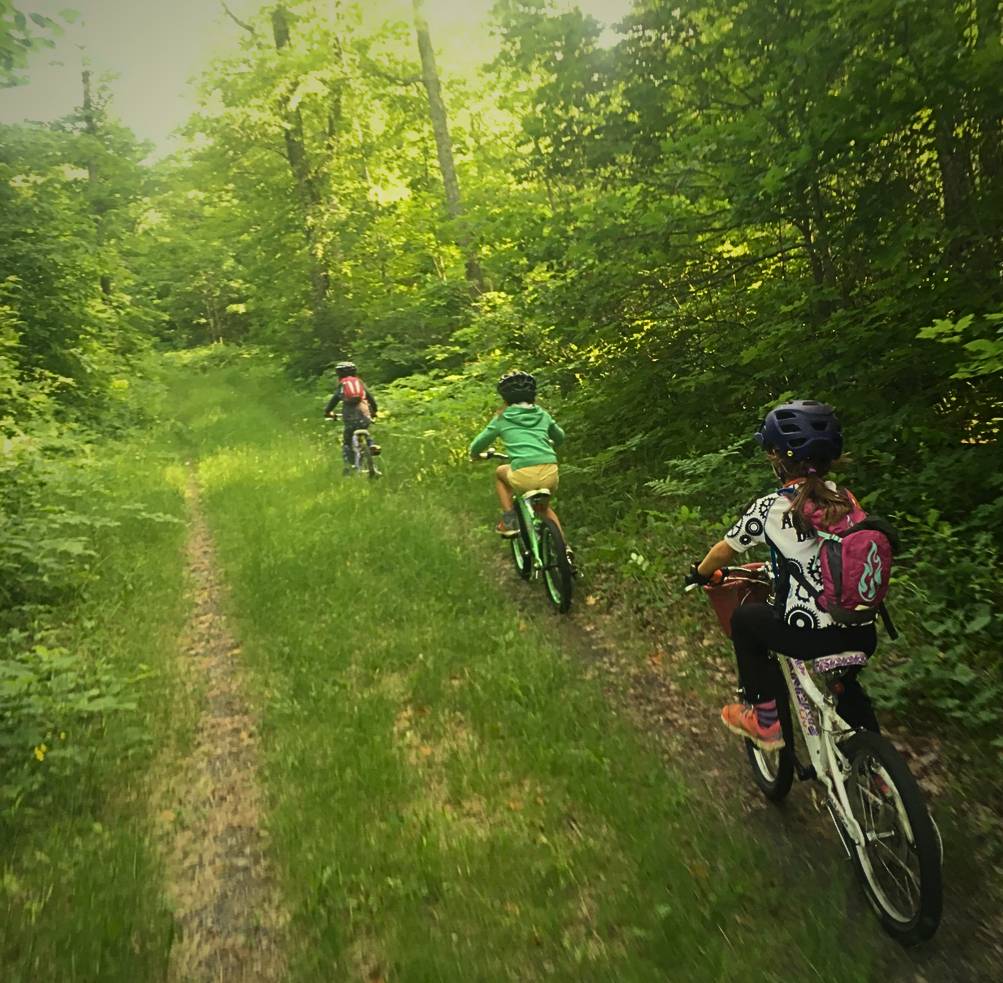 Full Service and Repair