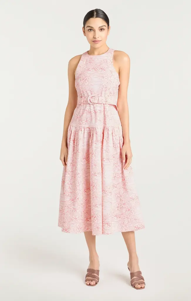 Cinq A Sept Scenic Toile Zoey Dress