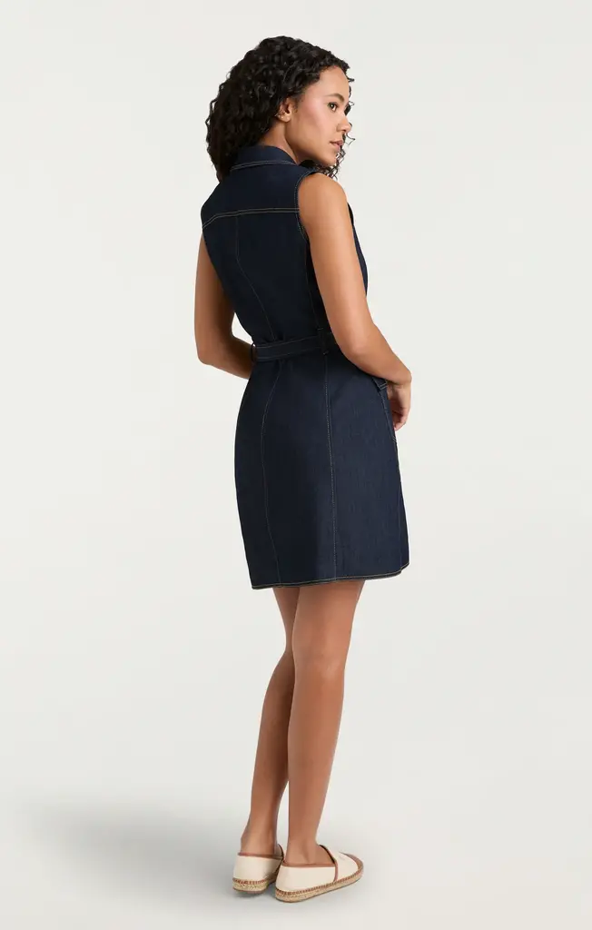Cinq A Sept Sleeveless Jenessa Dress