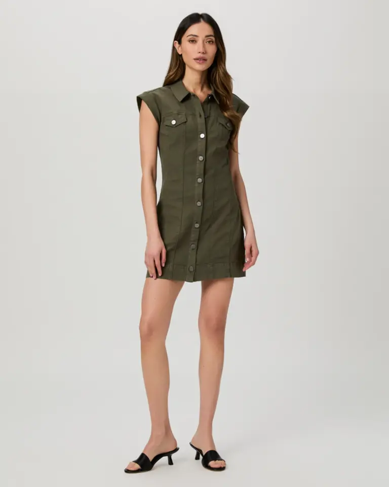 Paige Dekalb Dress