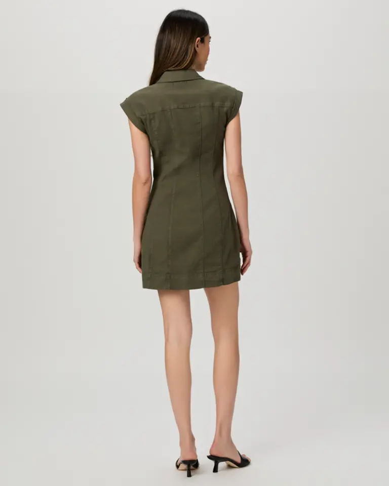Paige Dekalb Dress