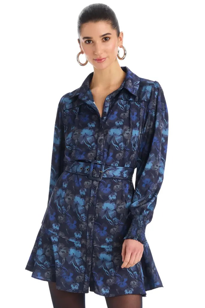 Allison Dylan Mini Dress