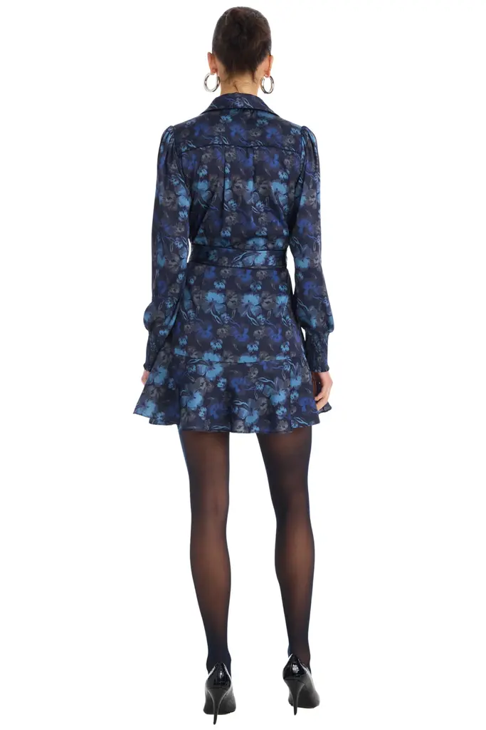 Allison Dylan Mini Dress