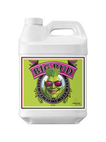 Advanced Advanced Big Bud 500ml