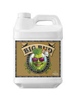 Advanced Advanced Big Bud Coco 250ml