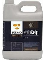 Remo Remo VeloKelp