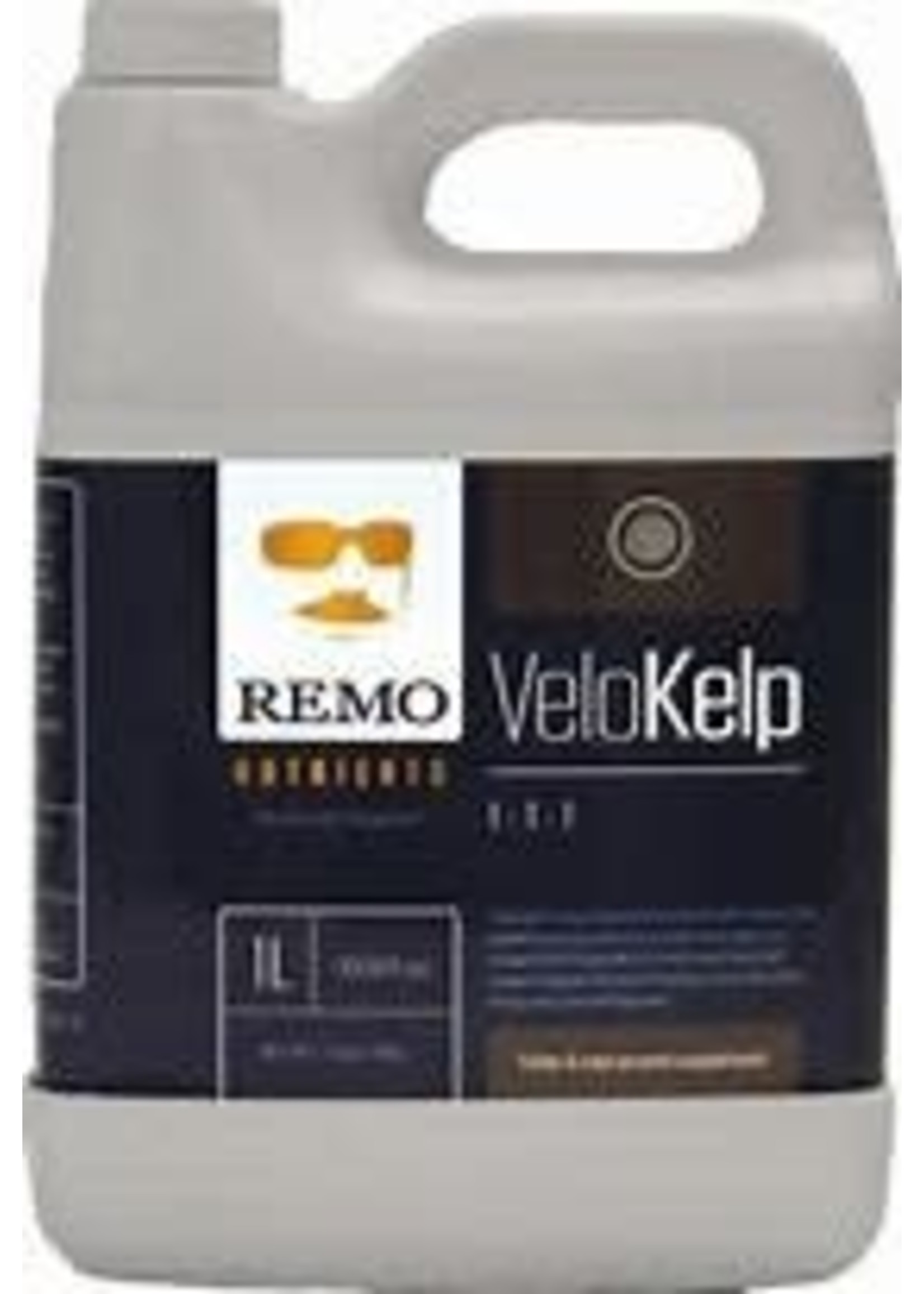 Remo Remo VeloKelp