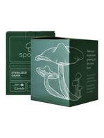 Sporeo Sporeo Sterilized Mushroom Grain Spawn