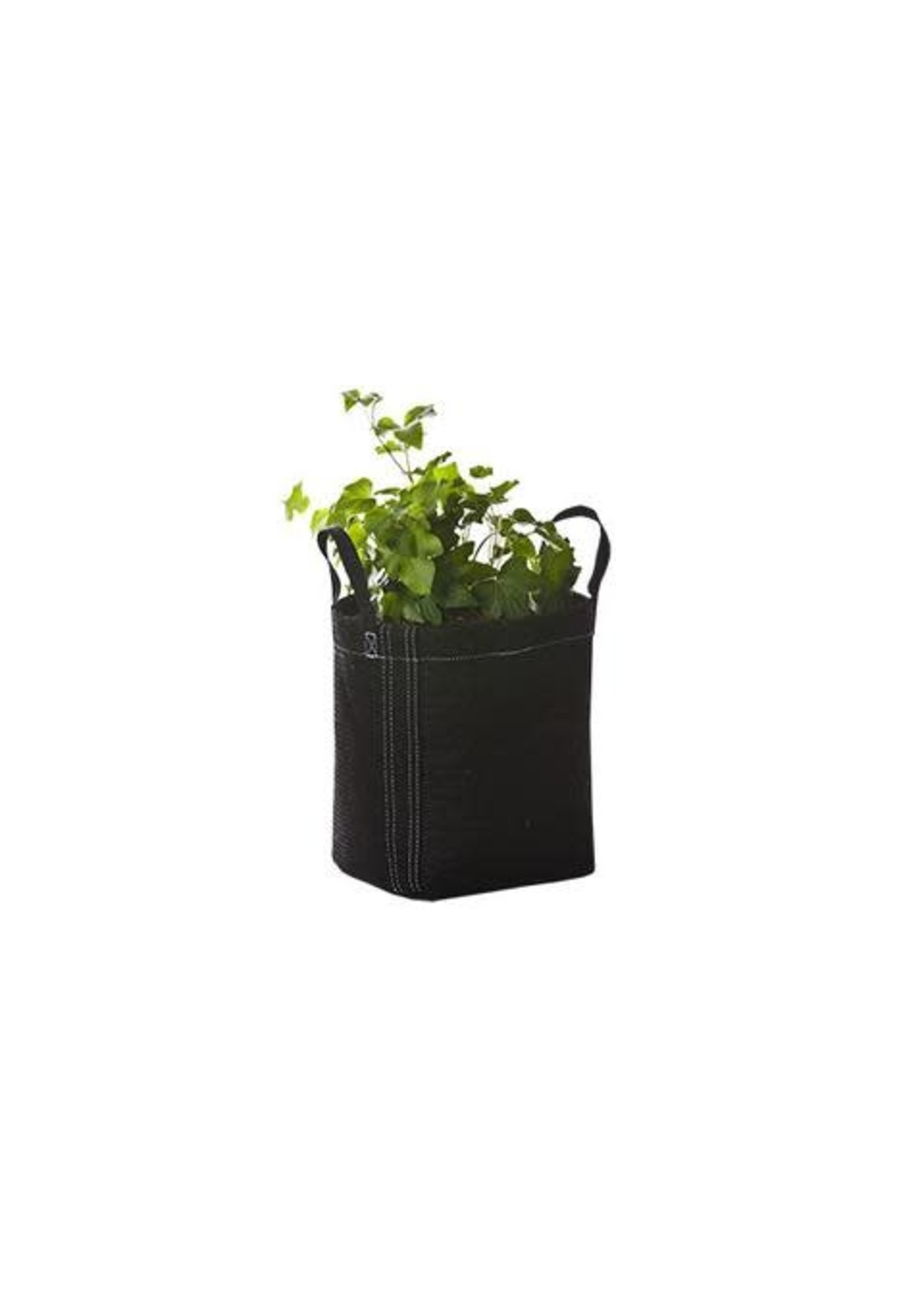 GeoPot GeoPot Fabric Gardening Pot with Handles 3 gallon