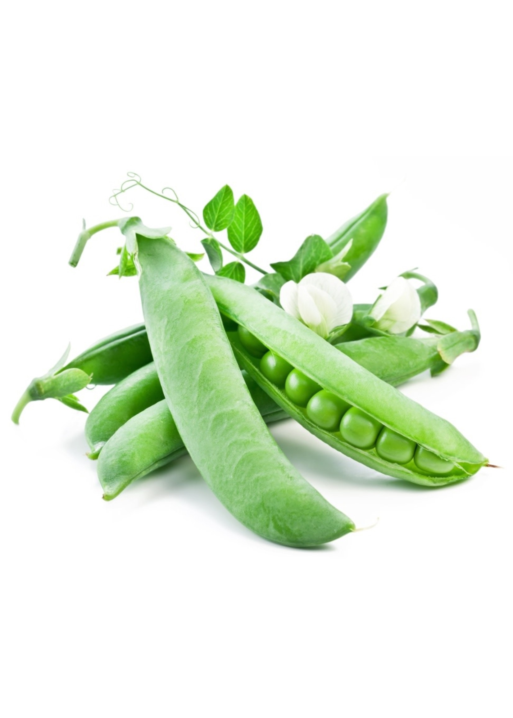 Heirloom Seeds(BIRRI) Shelling Peas – Utrillo