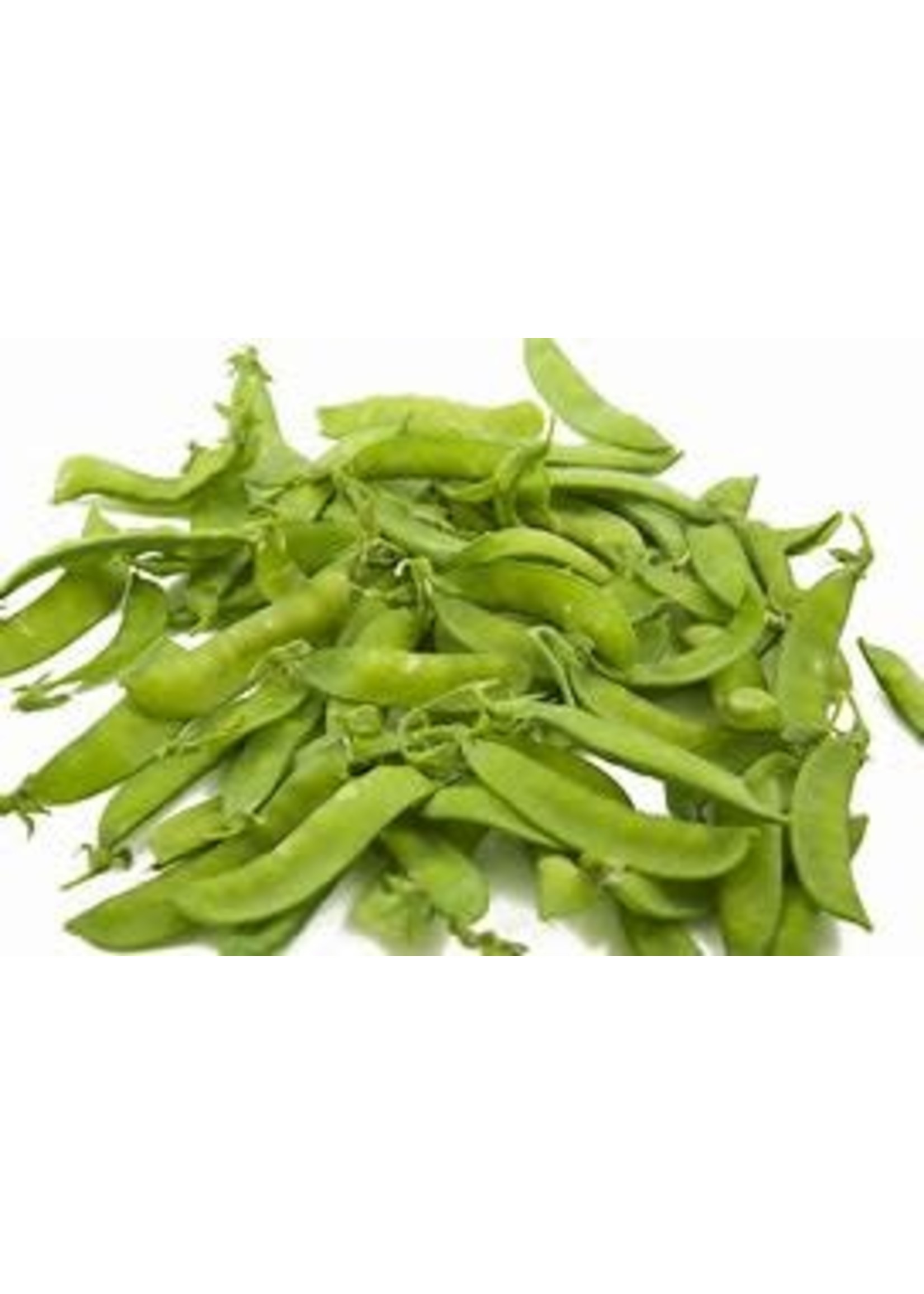 Heirloom Seeds(BIRRI) Snow Peas – Oregon sugar pod II