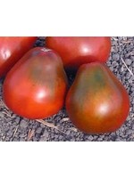Heirloom Seeds(BIRRI) Tomatoes – Black Pear