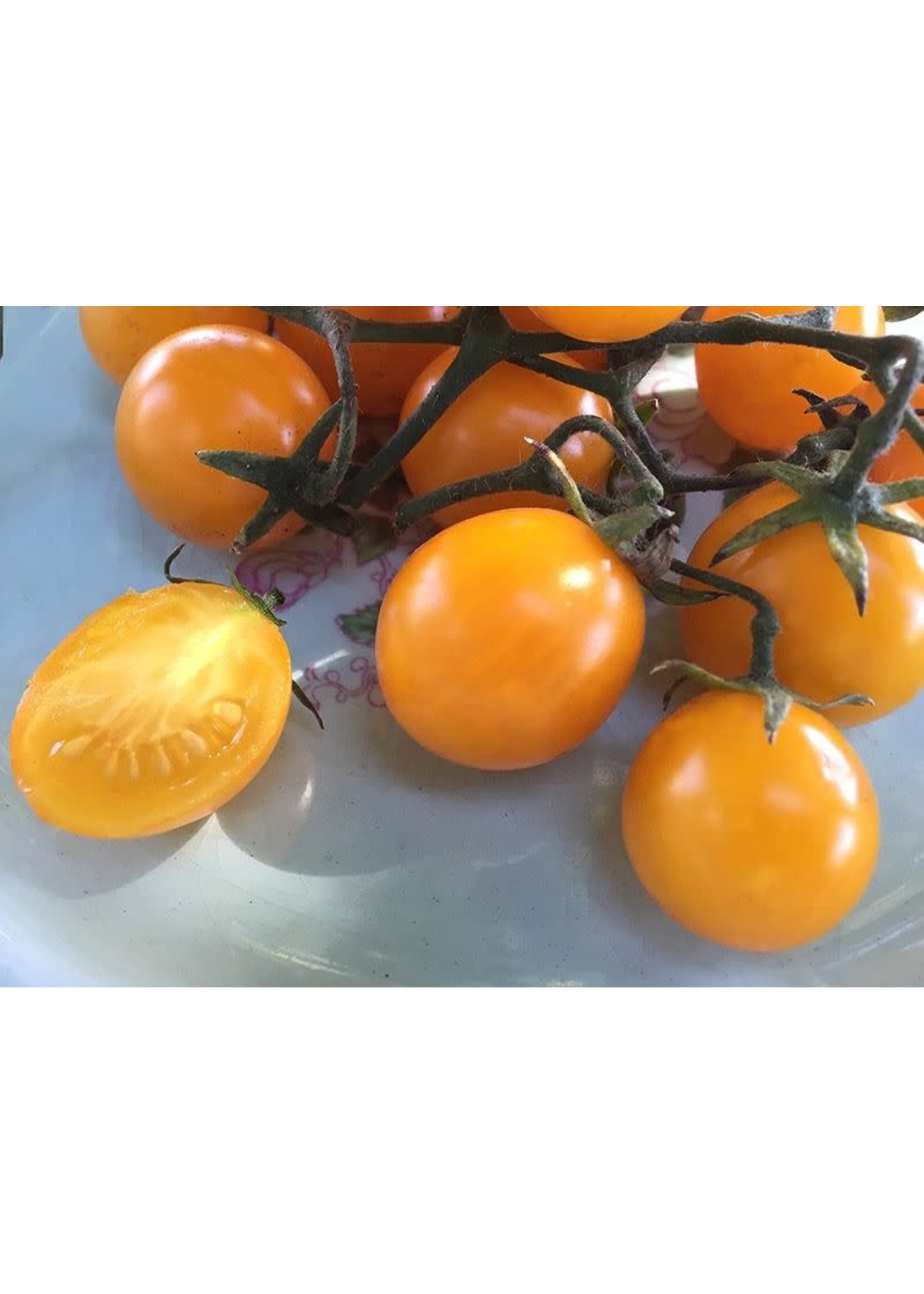 Heirloom Seeds(BIRRI) Tomatoes –Yellow Cherry tomato - Gold Nugget