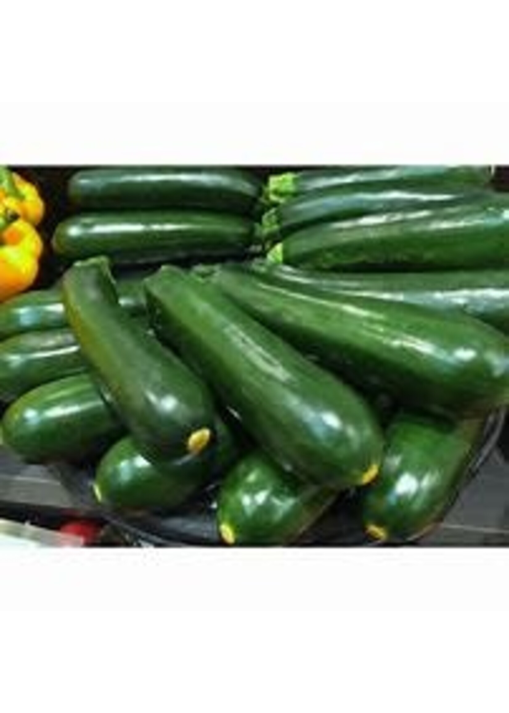 Heirloom Seeds(BIRRI) Squash- Zucchini Black Beauty