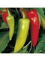 Heirloom Seeds(BIRRI) Peppers – Sweet Banana