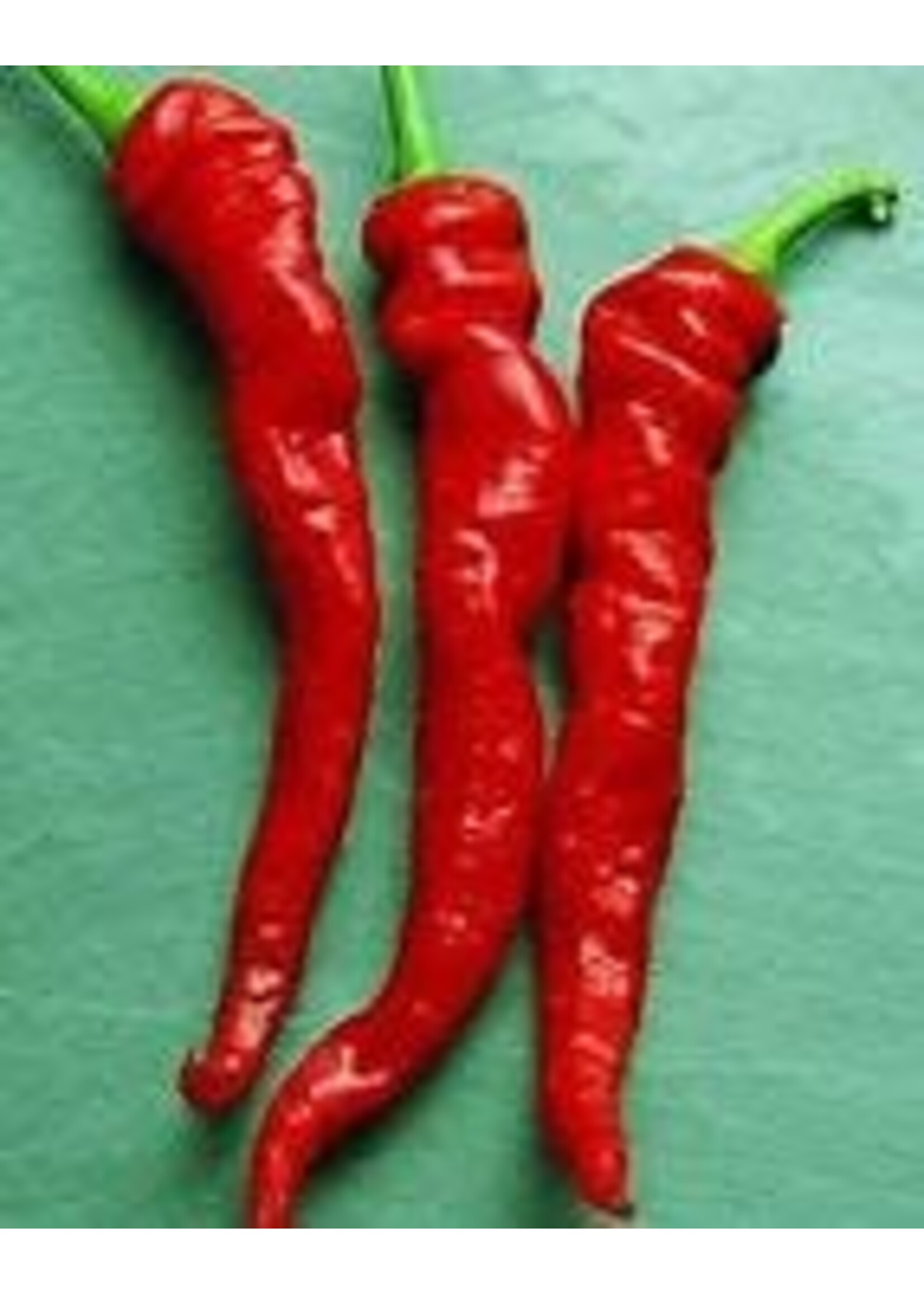 Heirloom Seeds(BIRRI) Hot Peppers – Cayenne Red Large Thick