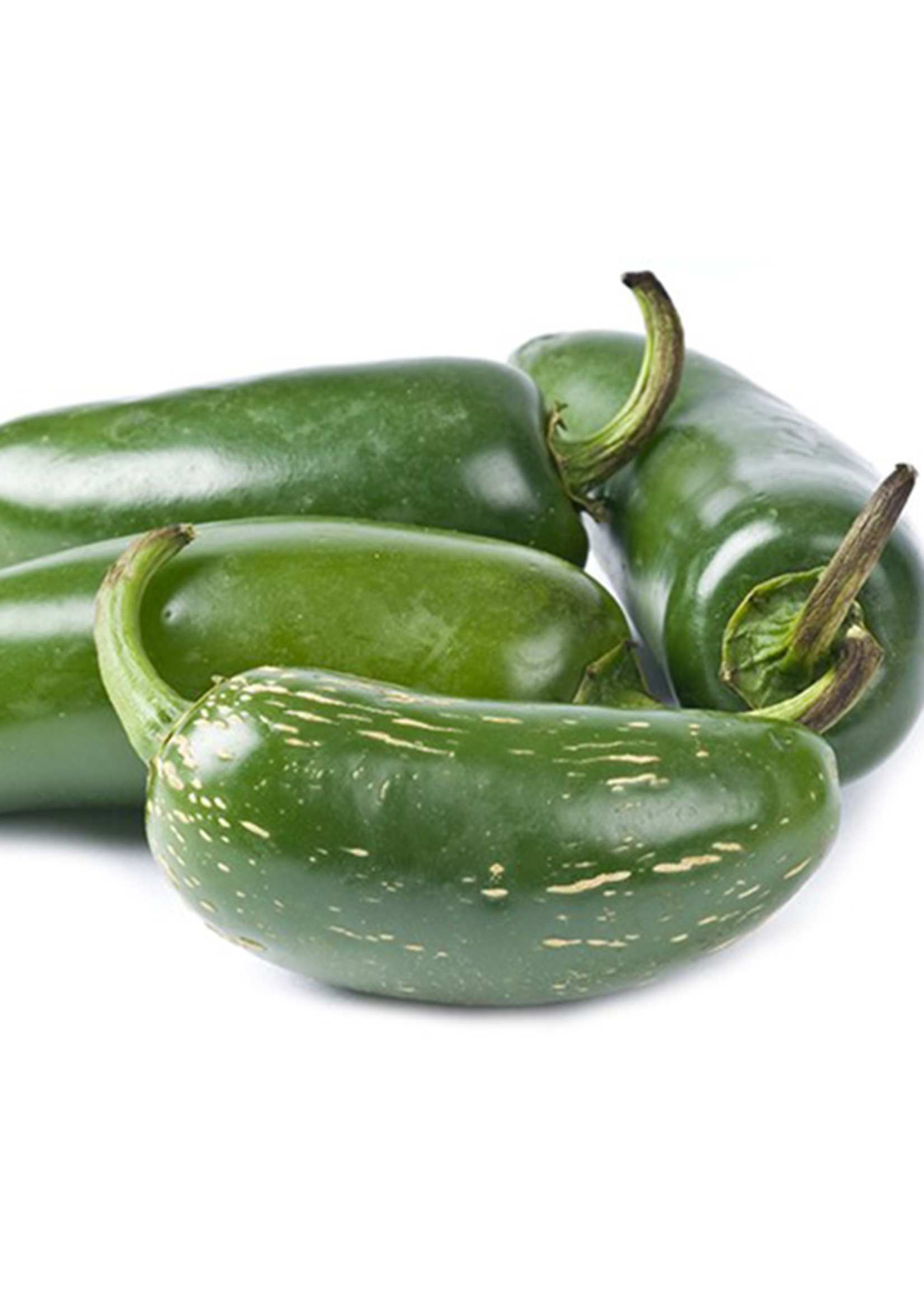 Heirloom Seeds(BIRRI) Hot Peppers – Jalapeno M