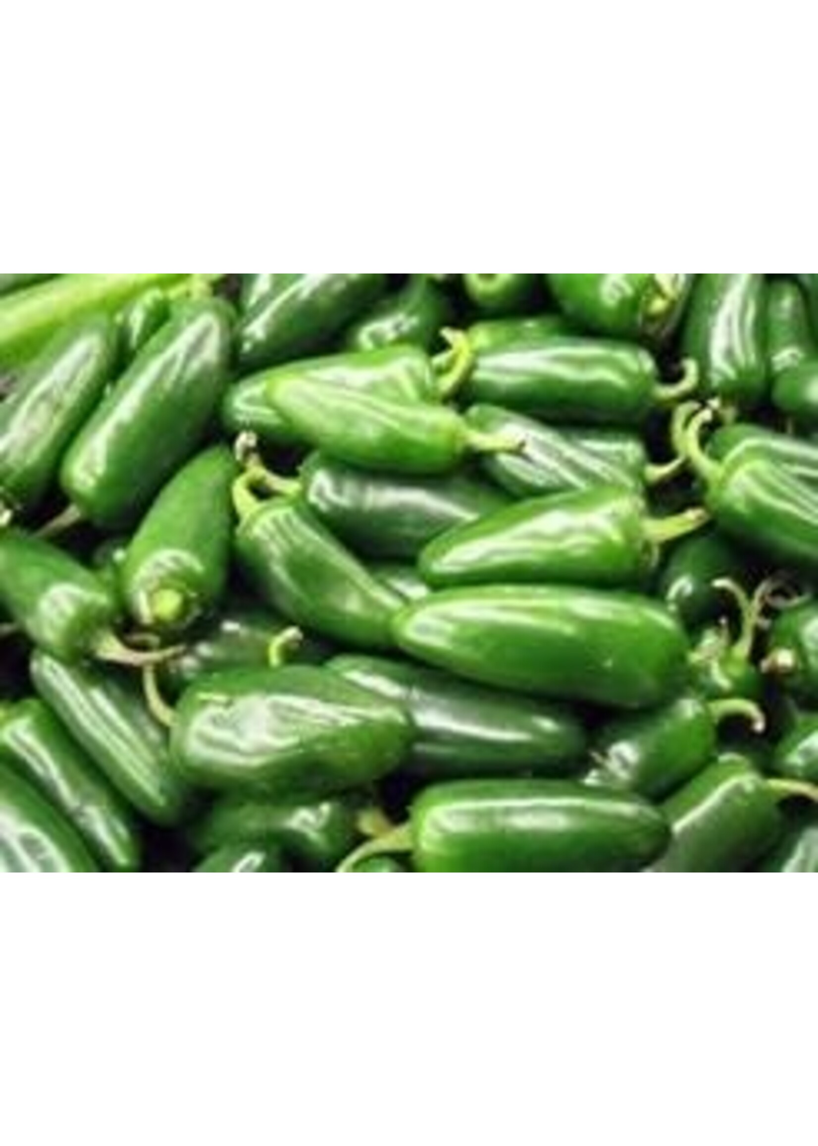 Heirloom Seeds(BIRRI) Hot Peppers – Jalapeno M