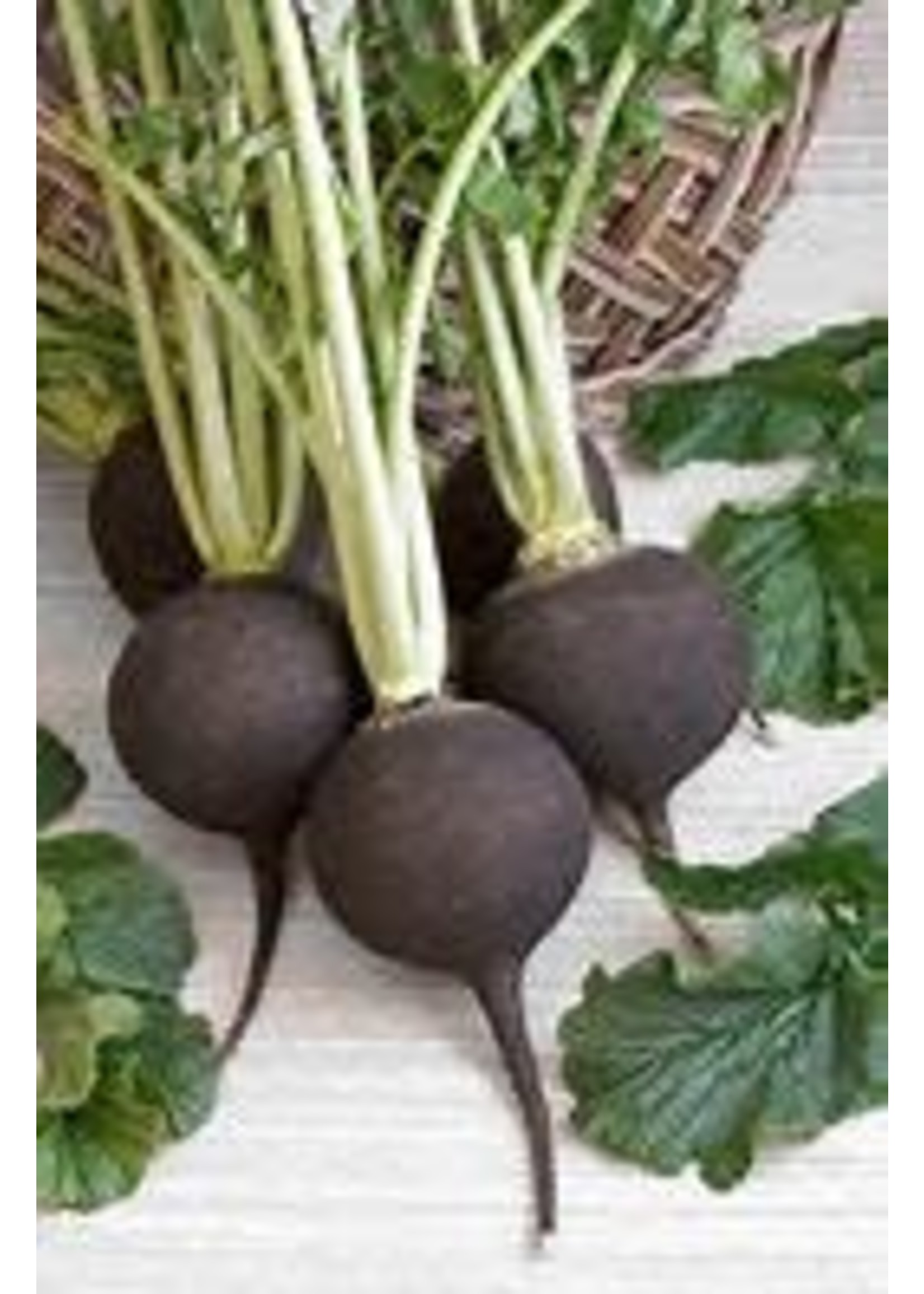 Heirloom Seeds(BIRRI) Radish – Black Spanish Round