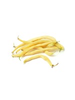 Heirloom Seeds(BIRRI) Bean- Yellow Pole Beans – Kentucky Golden Wax
