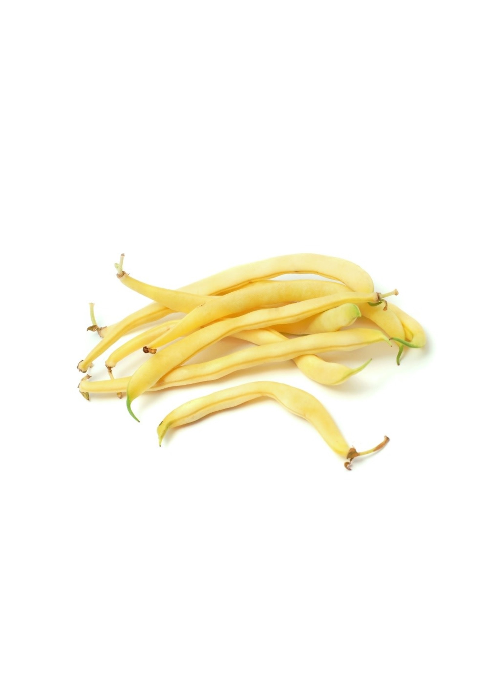 Heirloom Seeds(BIRRI) Bean- Yellow Pole Beans – Kentucky Golden Wax