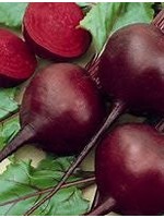 Heirloom Seeds(BIRRI) Beets – Detroit Dark Red