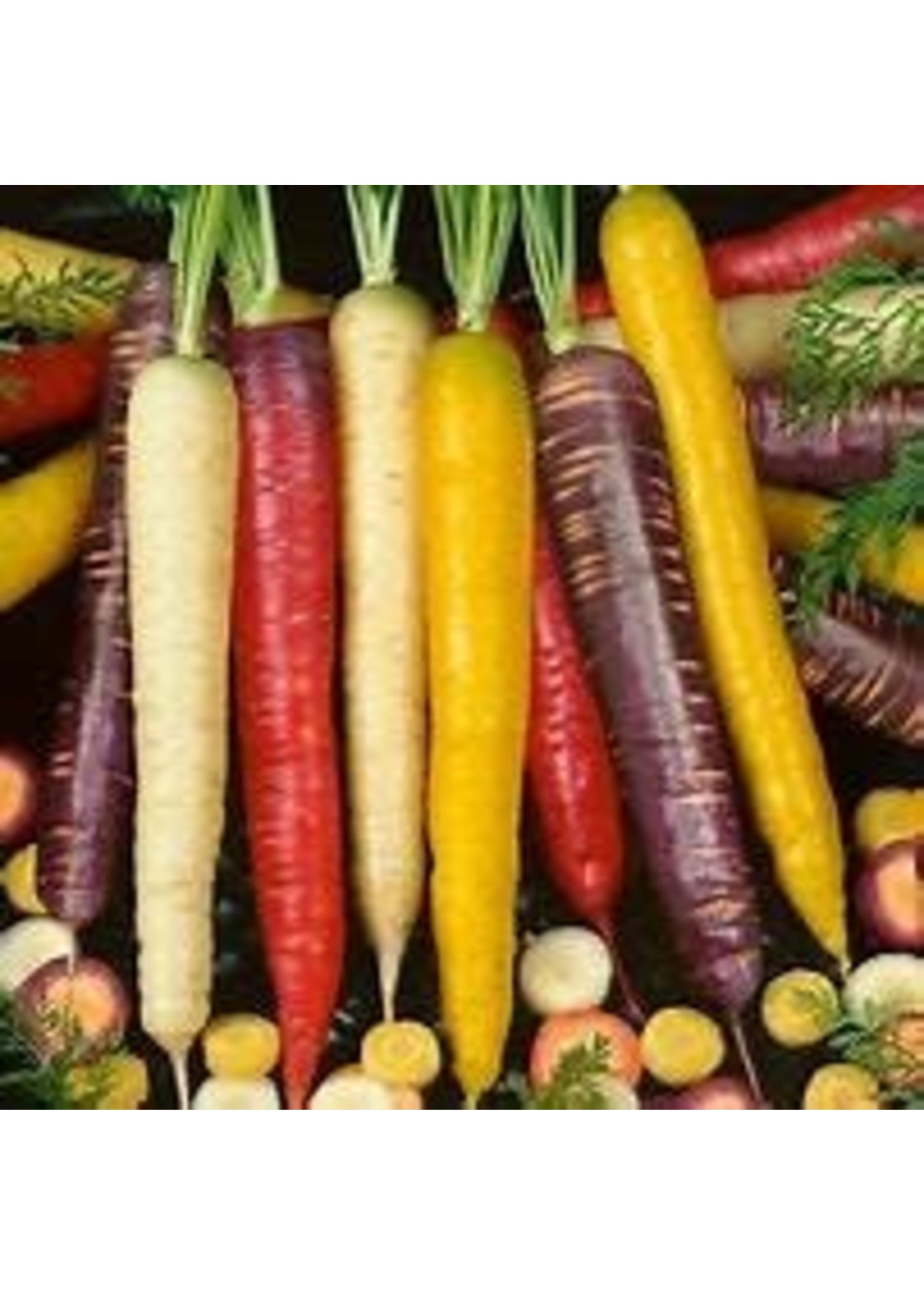 Heirloom Seeds(BIRRI) Carrots – Rainbow Blend