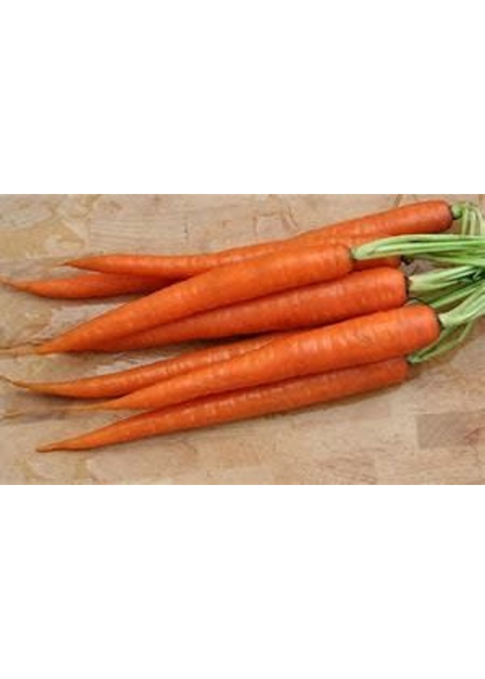Heirloom Seeds(BIRRI) Carrots– Tendersweet