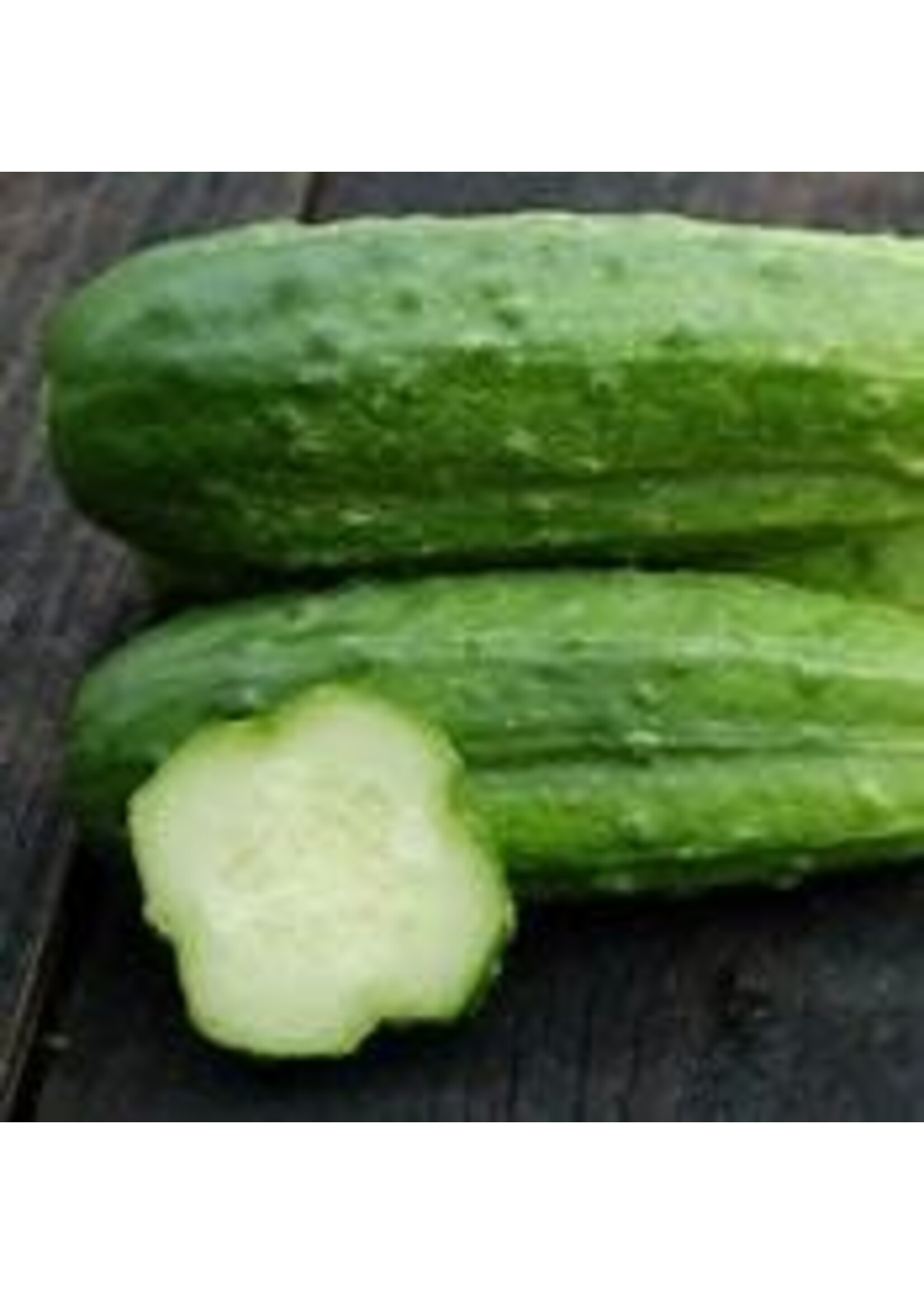Heirloom Seeds(BIRRI) Cucumbers – National Pickling
