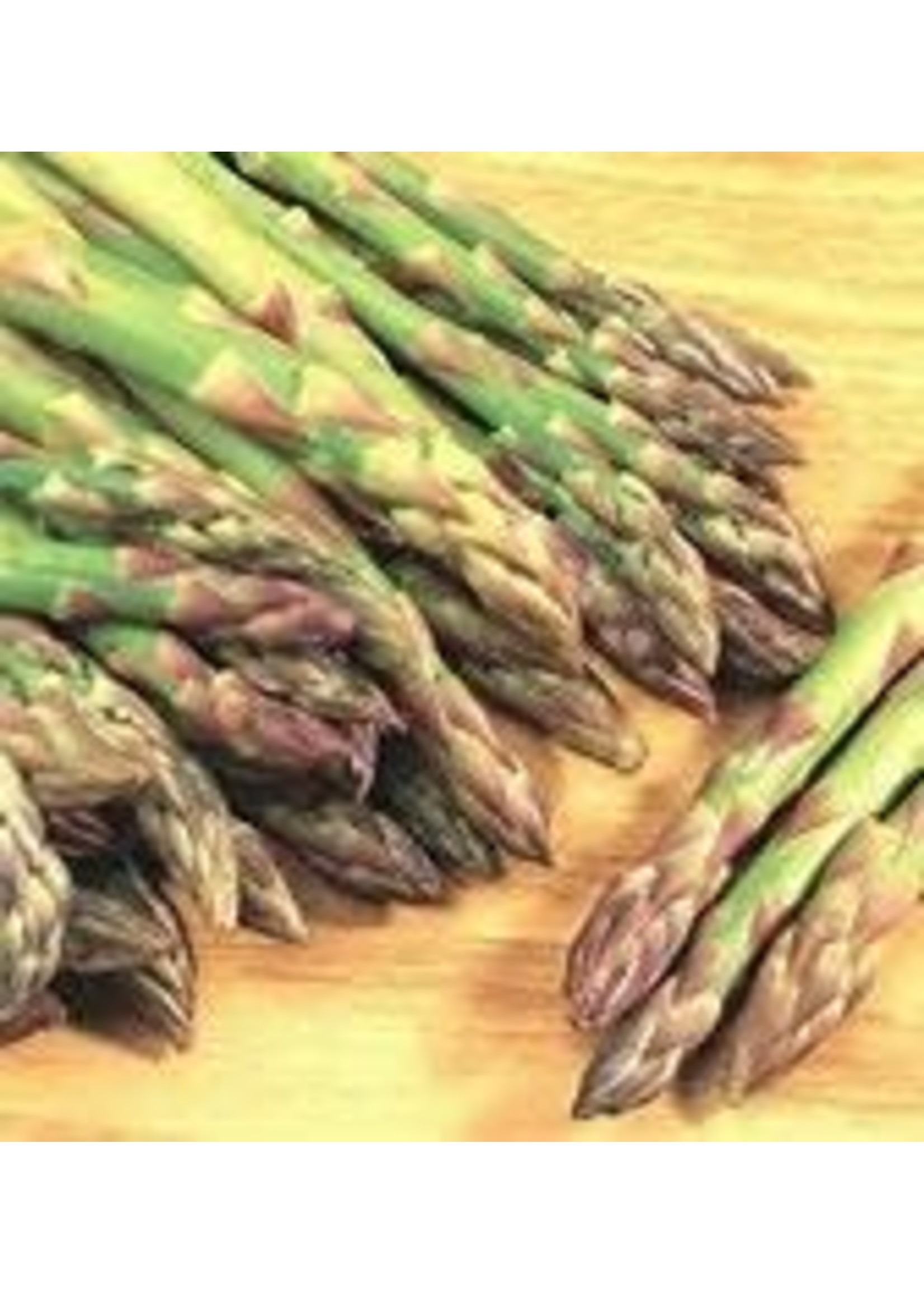 Heirloom Seeds(BIRRI) Asparagus – Mary Washington