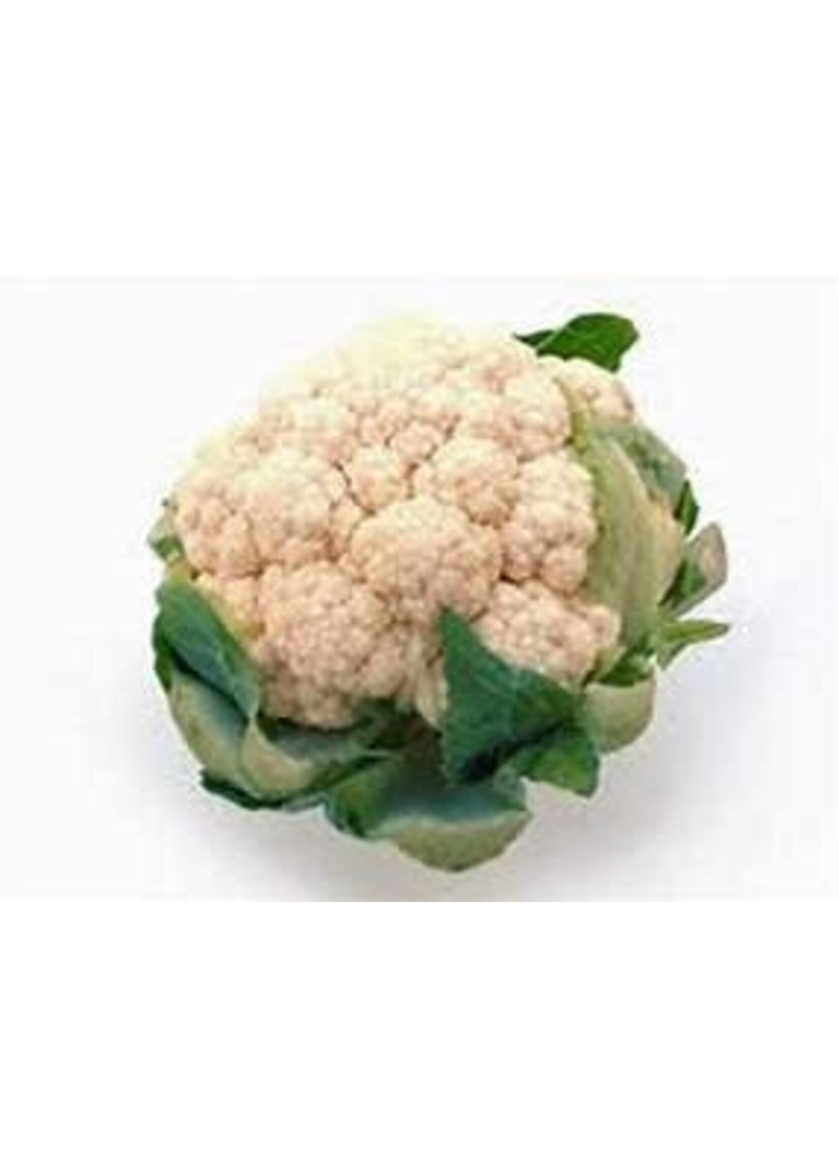 Heirloom Seeds(BIRRI) Cauliflower Super Snowball